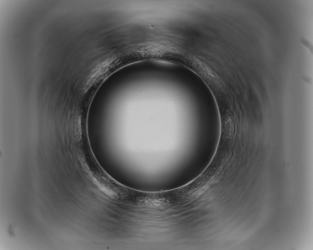 X0000097290638200802151416