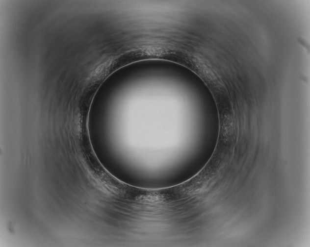 X0000097290639200802151416