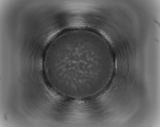 X0000097290640200802151416