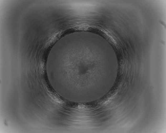 X0000097290641200802151416