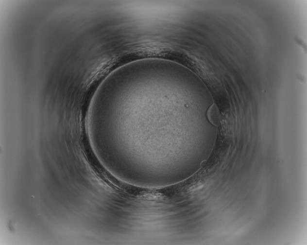 X0000097290642200802151416