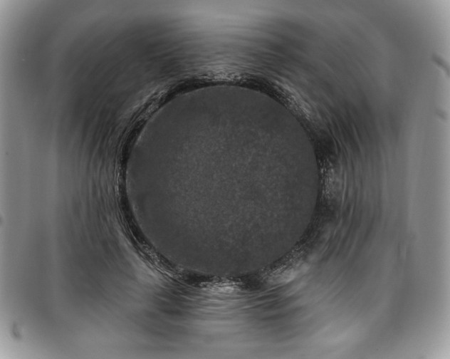 X0000097290643200802151416