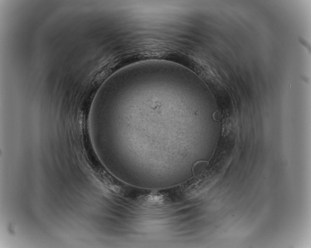 X0000097290647200802151416