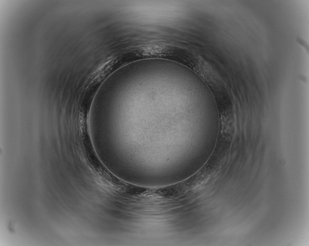 X0000097290648200802151416