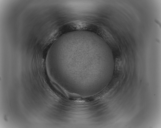 X0000097290650200802151416