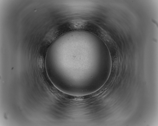 X0000097290651200802151416