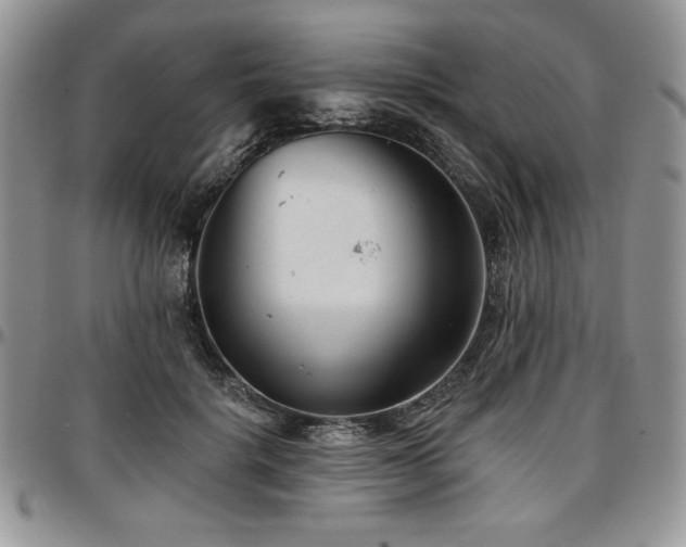 X0000097290652200802151416