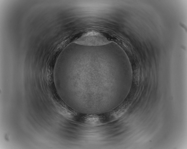X0000097290653200802151416