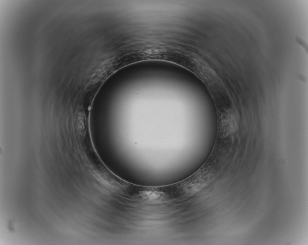 X0000097290654200802151416
