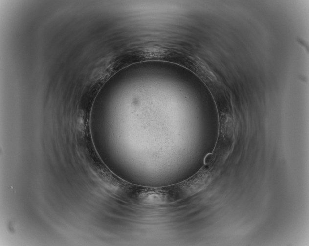 X0000097290655200802151416