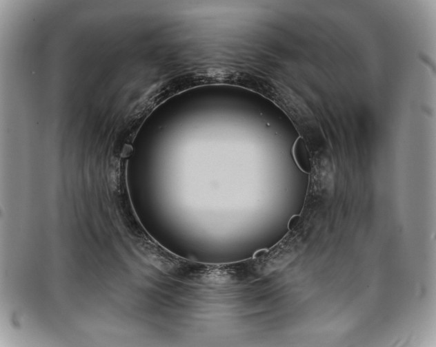 X0000097290656200802151416