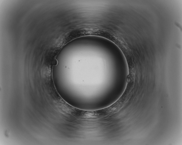 X0000097290657200802151416