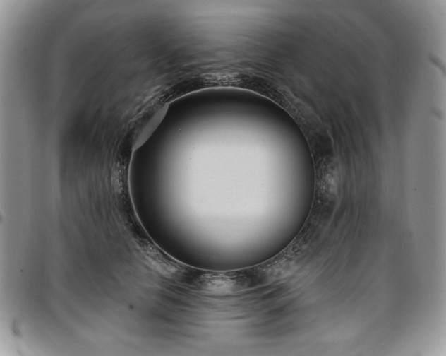 X0000097290658200802151416