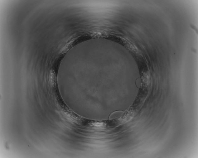 X0000097290659200802151416
