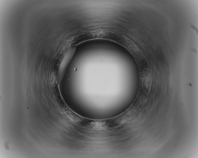 X0000097290660200802151416