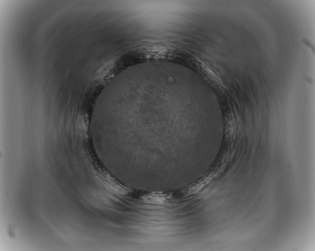 X0000097290661200802151416