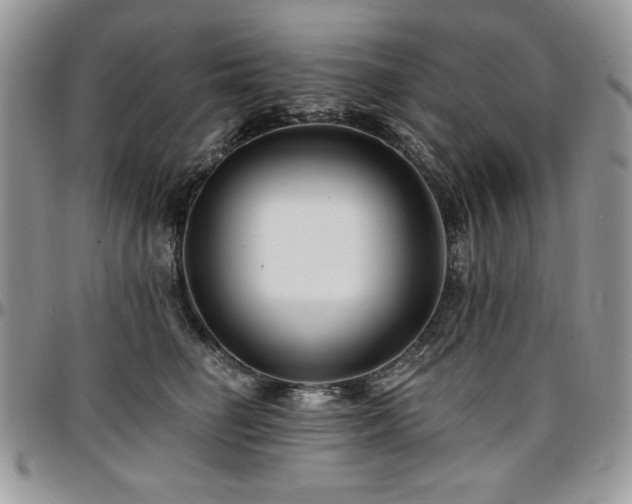 X0000097290662200802151416