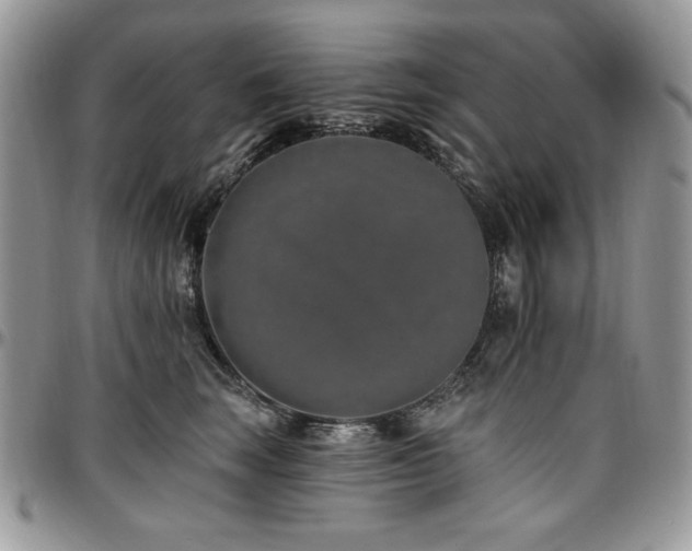 X0000097290663200802151416