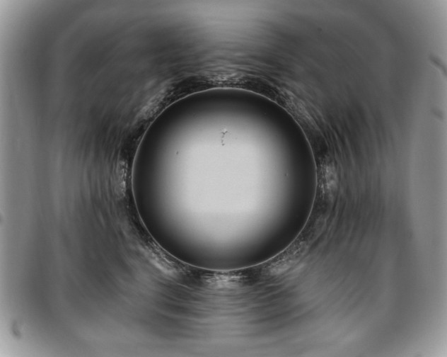 X0000097290664200802151416