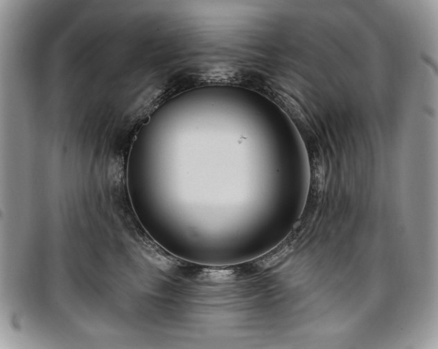 X0000097290665200802151416
