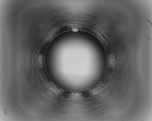 X0000097290667200802151416