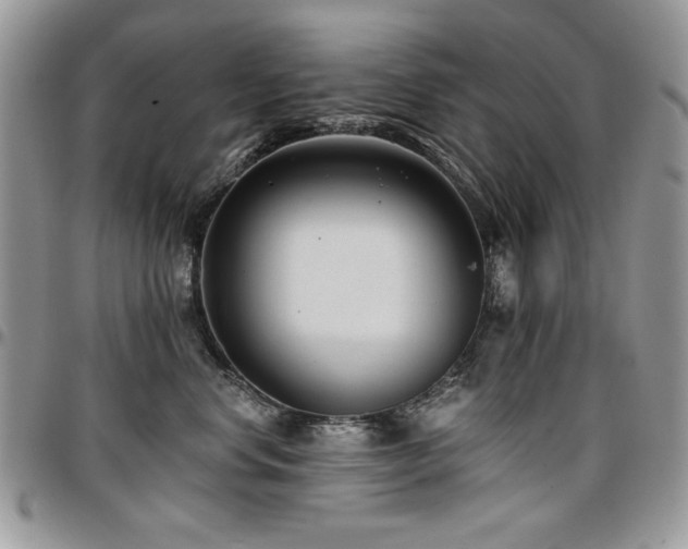 X0000097290668200802151416