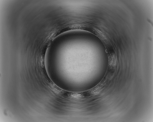 X0000097290669200802151416