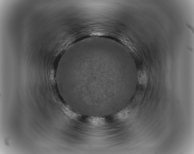 X0000097290670200802151416