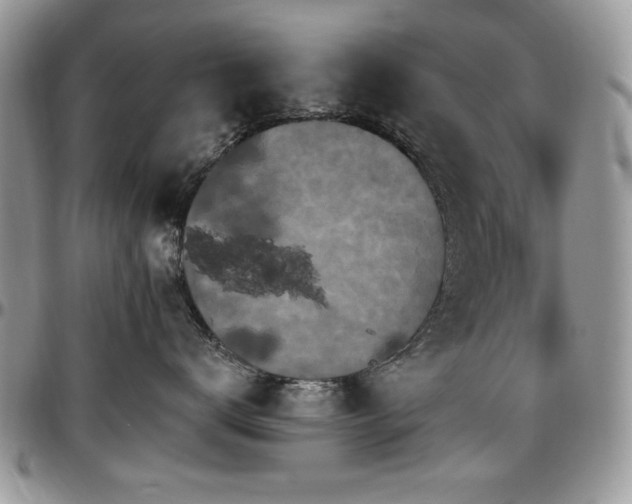X0000097290672200802151416