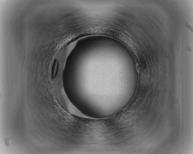 X0000097290673200802151415
