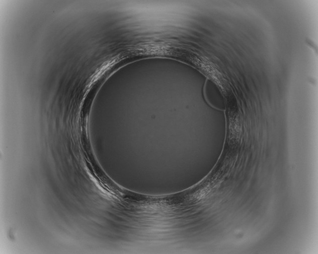 X0000097290674200802151415