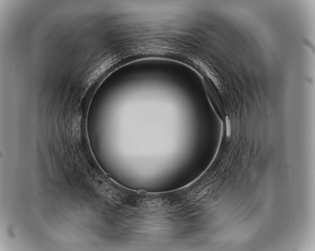 X0000097290675200802151415