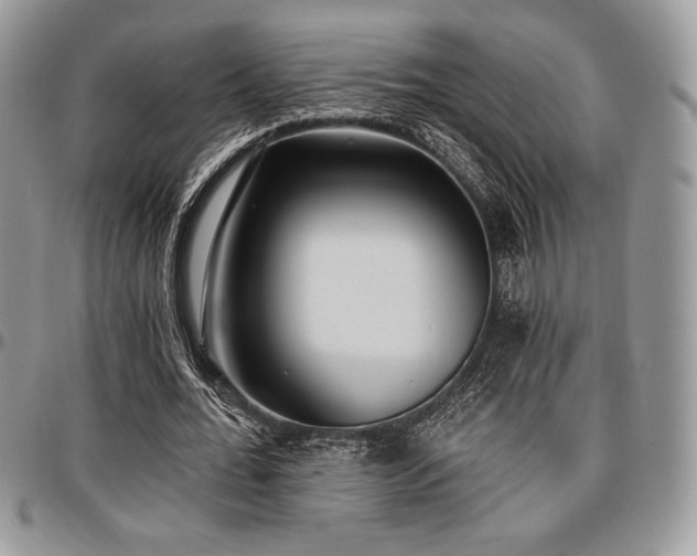 X0000097290676200802151415
