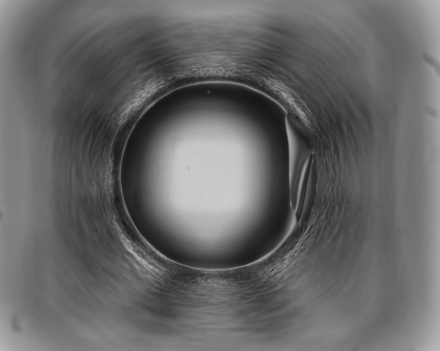 X0000097290677200802151415