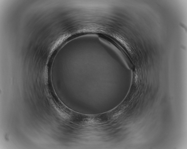 X0000097290678200802151415
