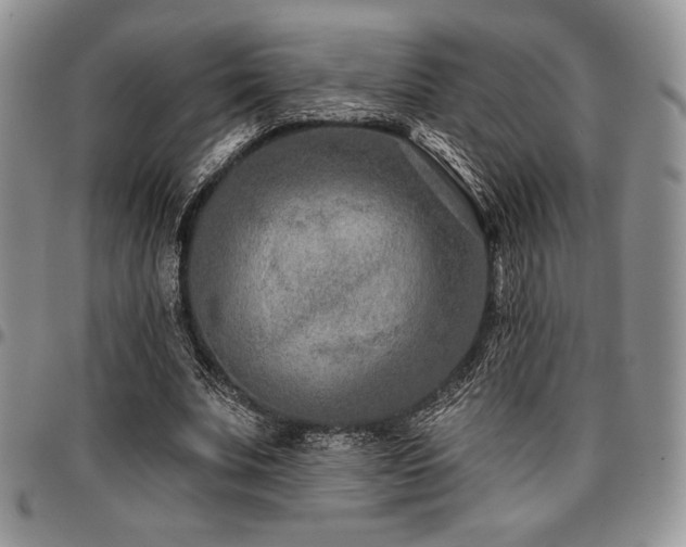 X0000097290679200802151415