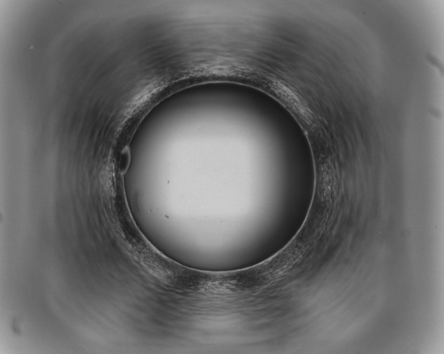 X0000097290680200802151415