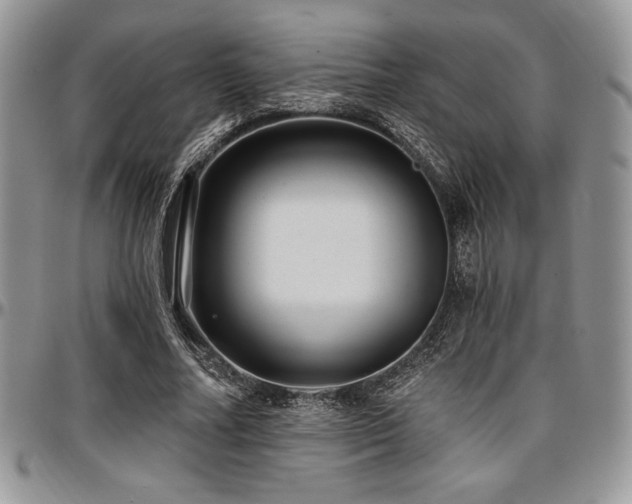 X0000097290682200802151415