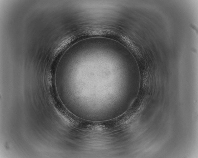 X0000097290683200802151415