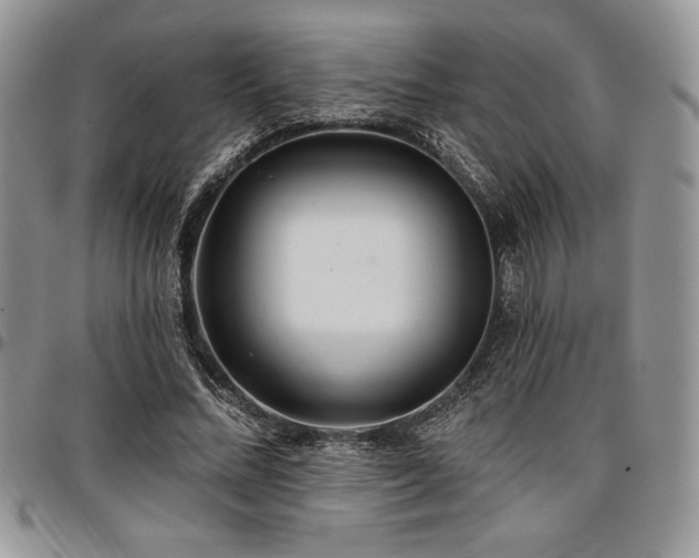 X0000097290684200802151415