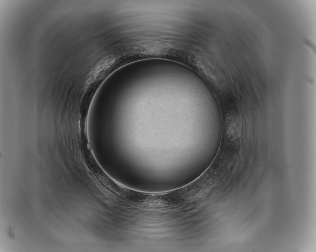 X0000097290685200802151415