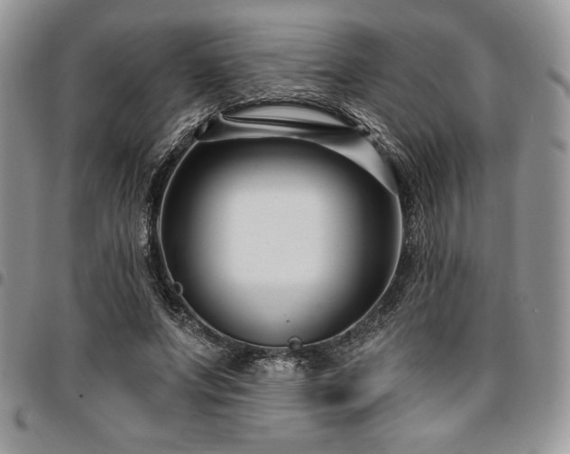 X0000097290687200802151415