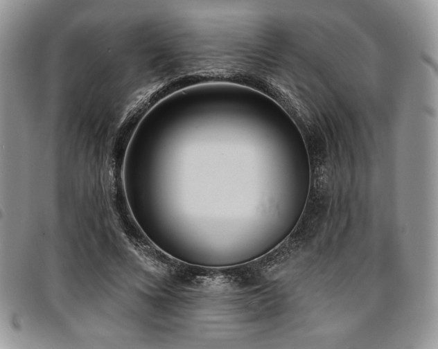X0000097290688200802151415