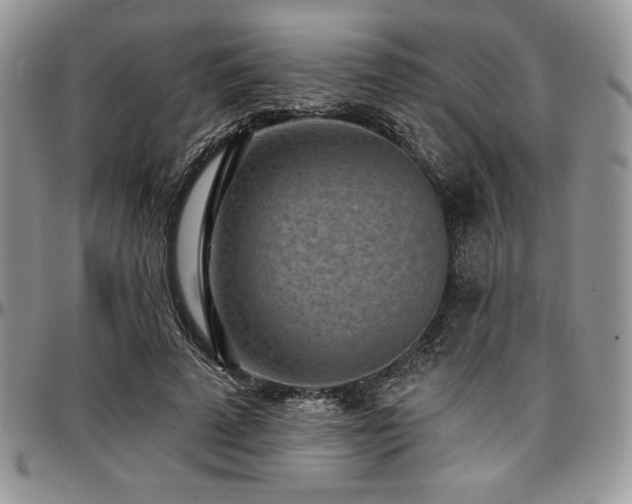 X0000097290689200802151415