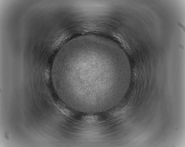 X0000097290691200802151415