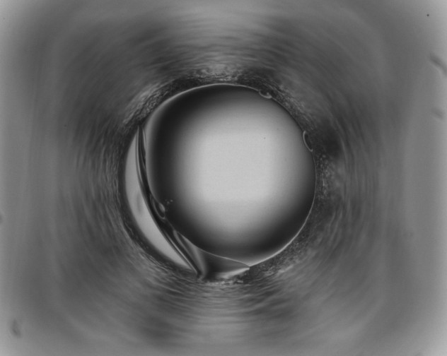X0000097290693200802151415