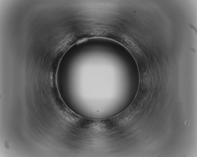 X0000097290696200802151415