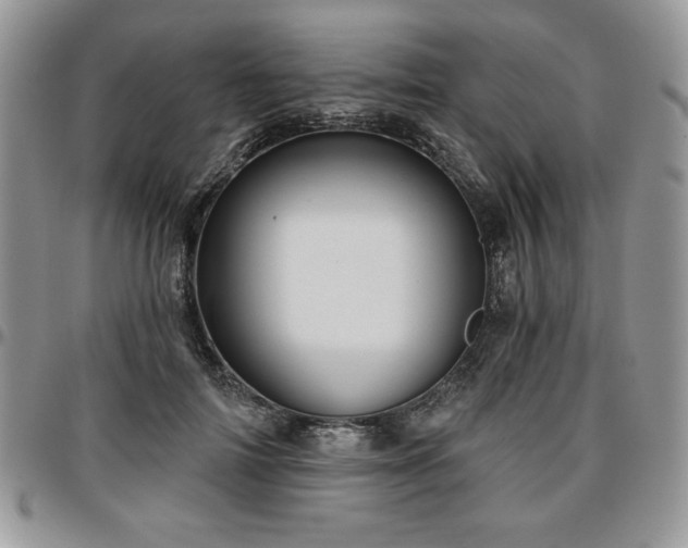 X0000097290698200802151415