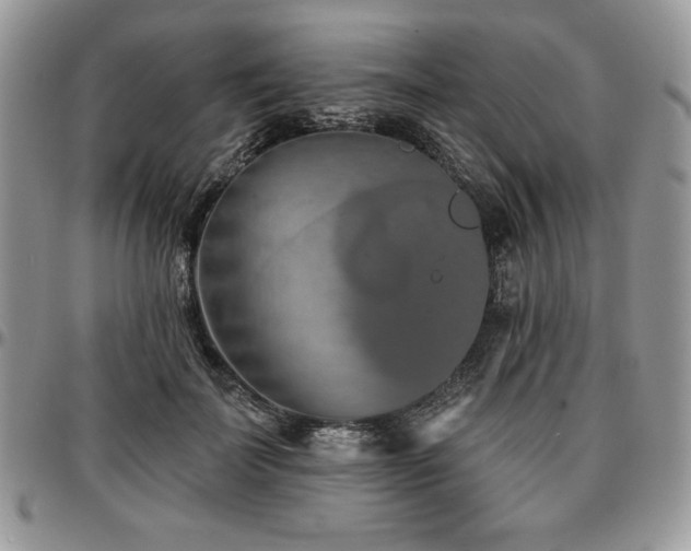 X0000097290699200802151415