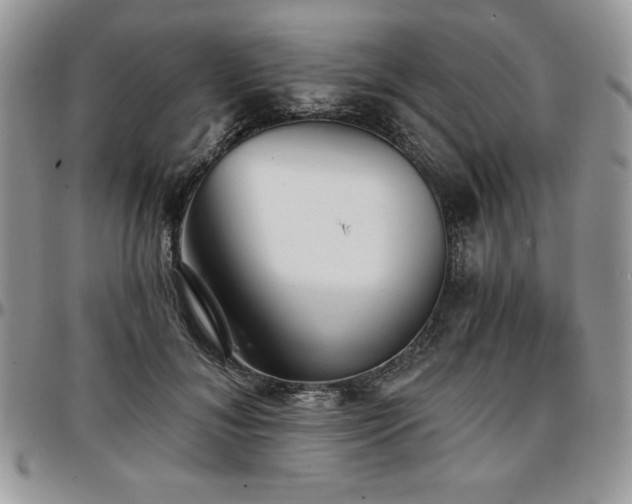X0000097290700200802151415